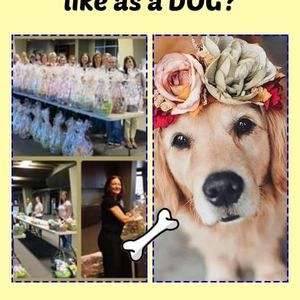 Meet your Posher, Danielle